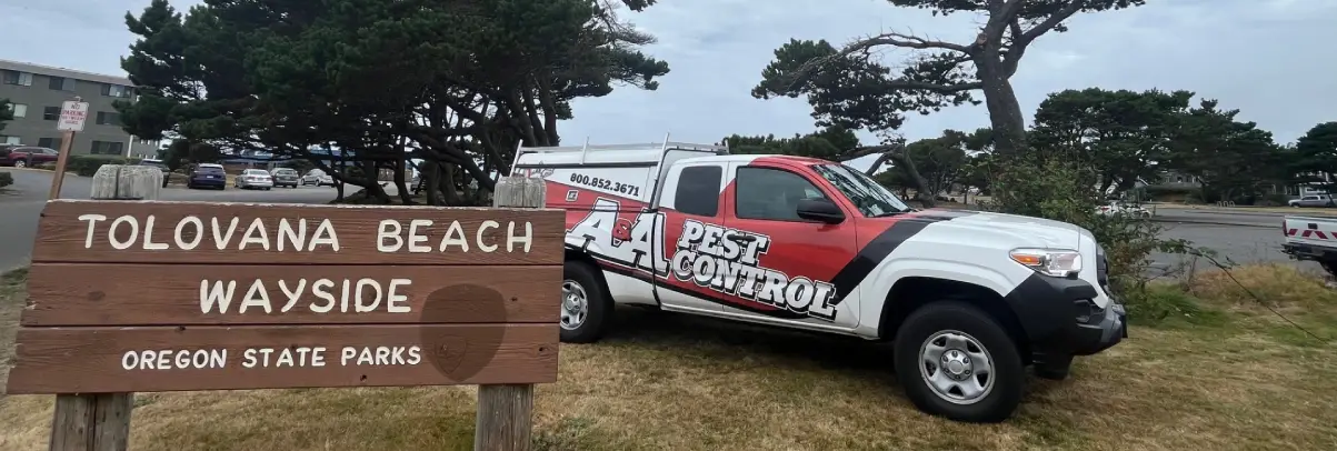 Cannon beach pest control