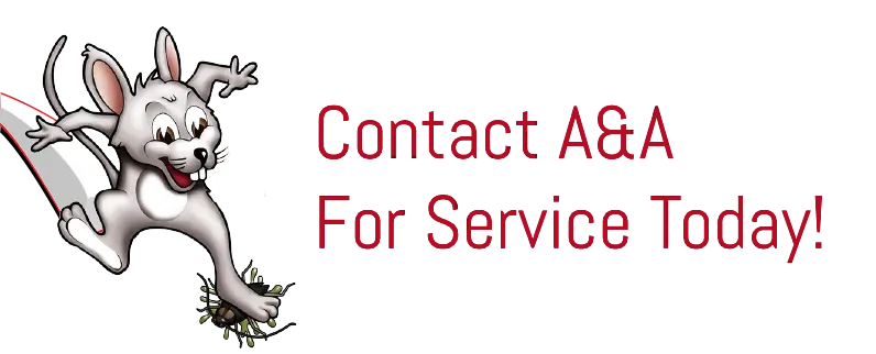 contact aa today