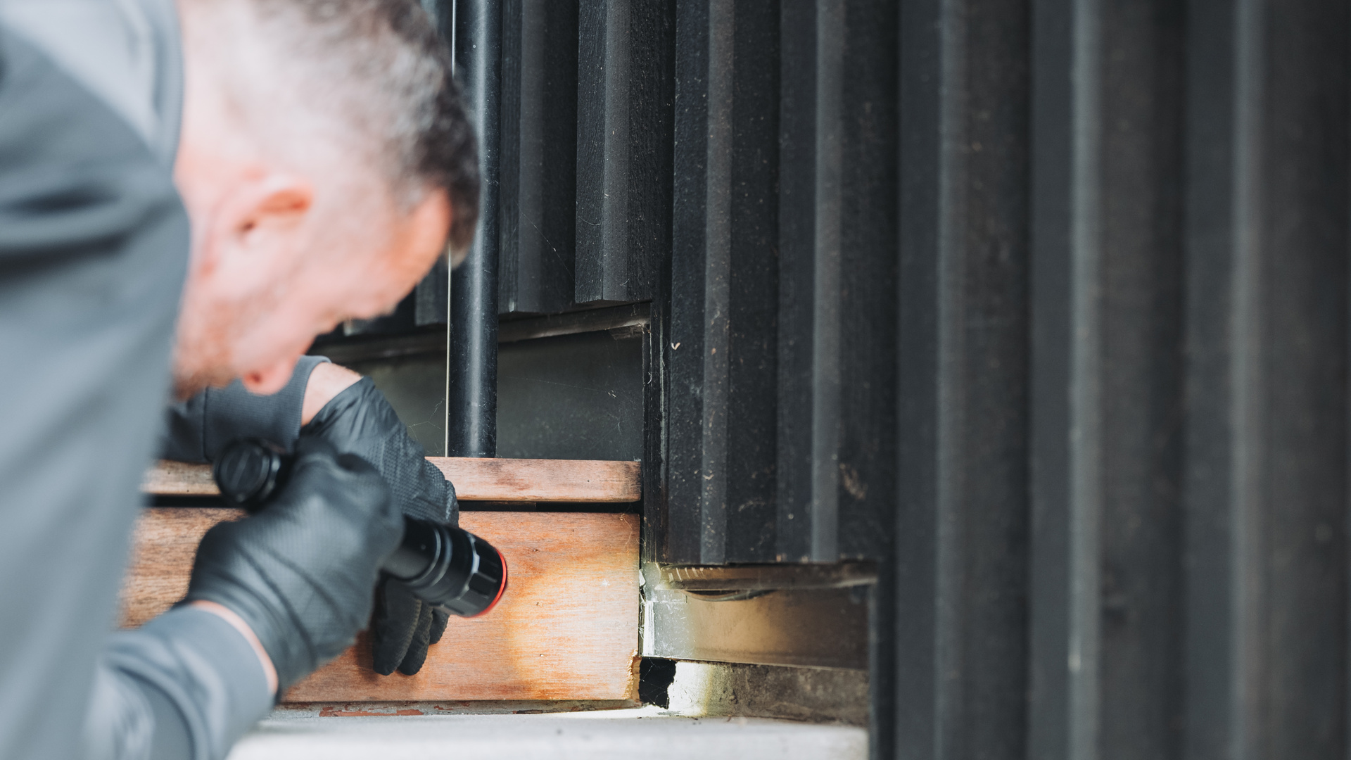 Residential exterior rodent inspection